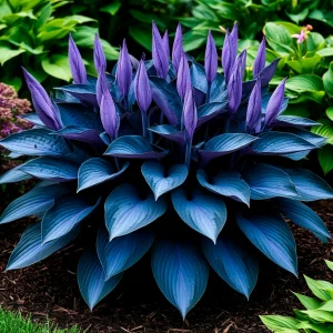 Хоста Сикрет Гров купить по цене от 570р. в интернет-магазине «Посадика» с доставкой почтой в в Лермонтове и по всей России – [изображение №1].